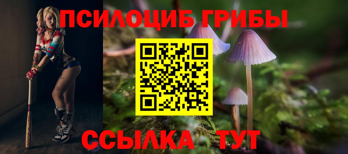 Галлюциногенные грибы GOLDEN TEACHER  Галлюциногенные грибы MAGIC MUSHROOMS  Вход с VPN  Кемерово 